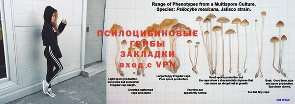 гашиш Саяногорск