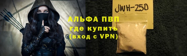спиды Богородск