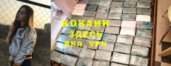 спиды Богородск