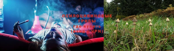 спиды Богородск