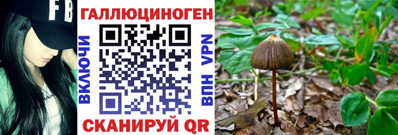 Псилоцибиновые грибы прущие грибы  Волжск 